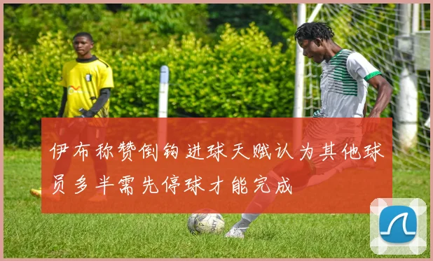 伊布称赞倒钩进球天赋认为其他球员多半需先停球才能完成